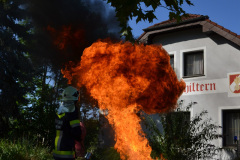 actionday_5_20170828_1011228676