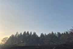 altenhof-2026-08-10-006