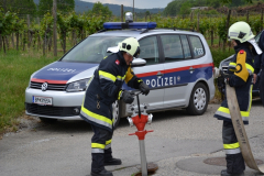 aple_bronze_2012_pruefung_20120830_1570876501