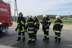 aple_bronze_2012_uebung_9_20120826_1332914768