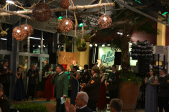 ball_20160312_1625821246