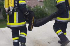 floriani_9_20170508_1385747046