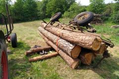 hauptuebung_06052018_20180715_1232469096