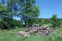 hauptuebung_06052018_20180715_1910348889