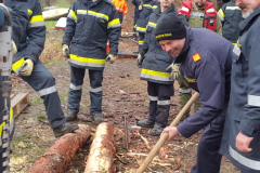 stegbau_6_20160418_1848320080