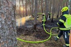 waldbrand_b2_2026-08-31-007