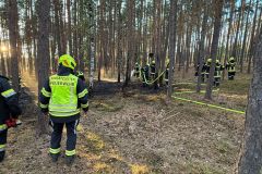 waldbrand_b2_2026-08-31-010