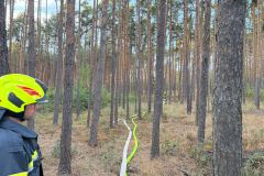waldbrand_b2_2026-08-31-017