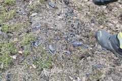 waldbrand_b2_2026-08-31-021
