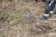 waldbrand_b2_2026-08-31-022