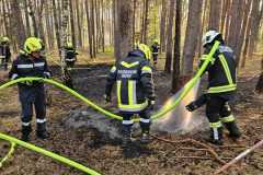 waldbrand_b2_2026-08-31-023