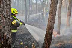 waldbrand_b2_2026-08-31-026