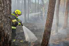 waldbrand_b2_2026-08-31-027