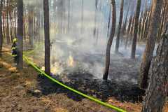 waldbrand_b2_2026-08-31-028