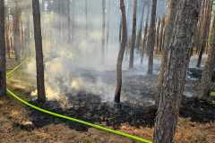waldbrand_b2_2026-08-31-029