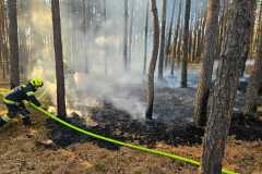 waldbrand_b2_2026-08-31-031