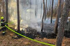 waldbrand_b2_2026-08-31-032