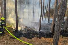 waldbrand_b2_2026-08-31-033