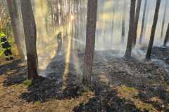 waldbrand_b2_2026-08-31-034