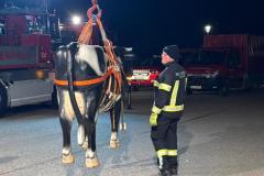 winterschulung-2026-03-16-016